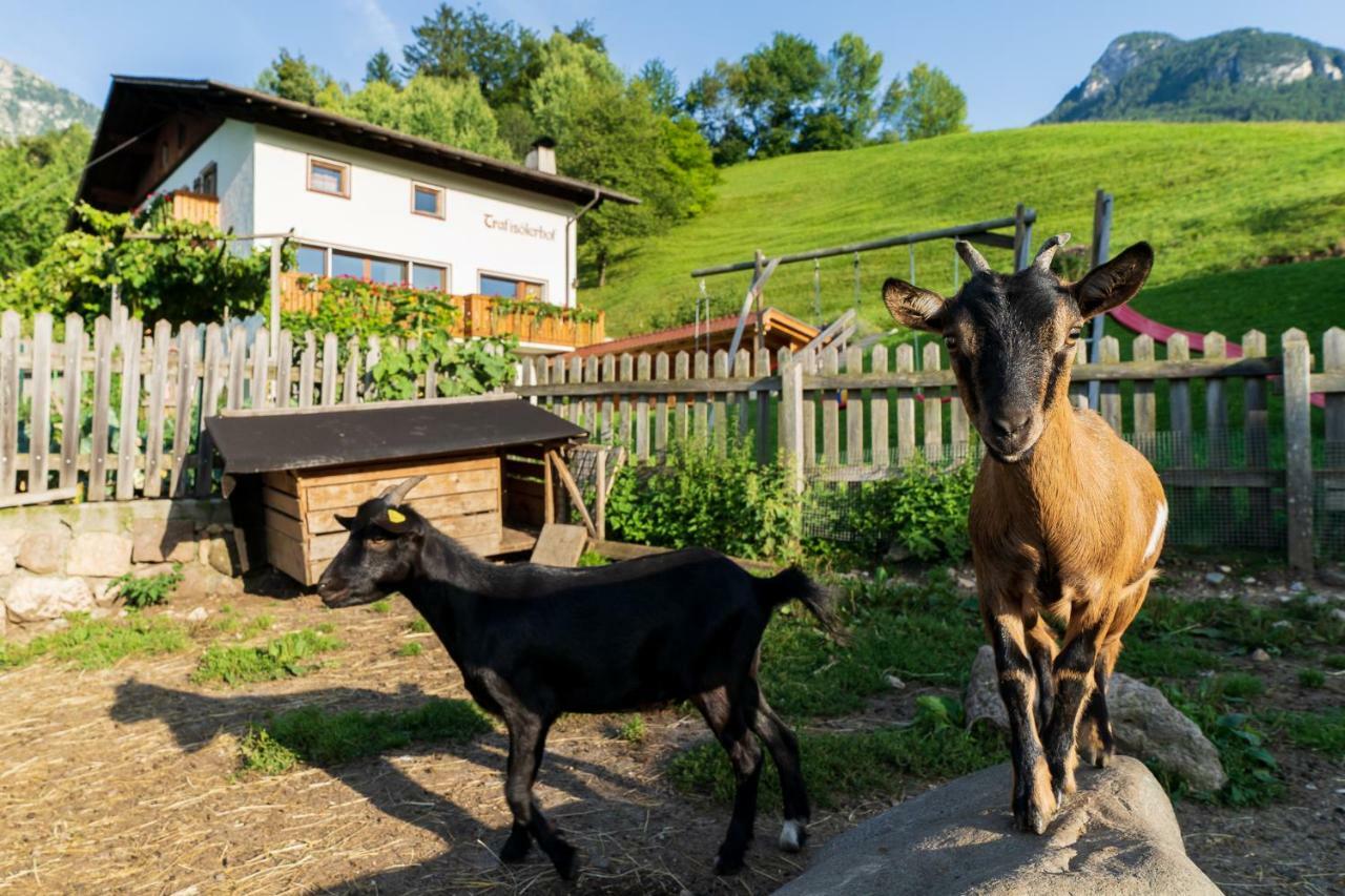 Trafisolerhof Pension Fiè Buitenkant foto